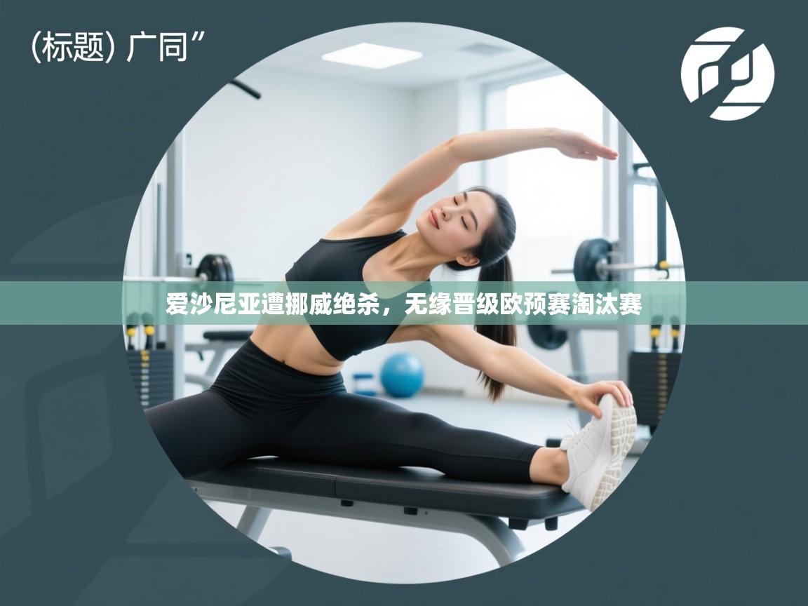 爱沙尼亚遭挪威绝杀,无缘晋级欧预赛淘汰赛 第2张